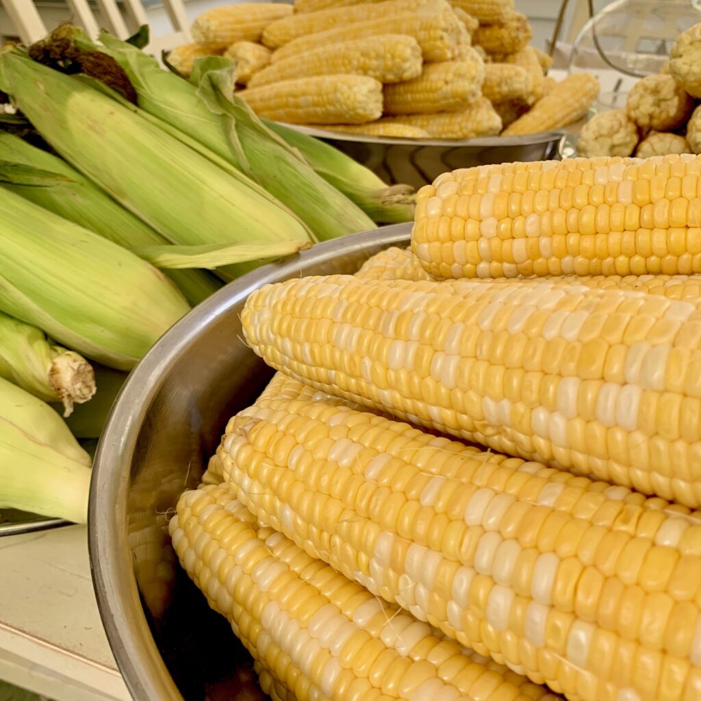 corn ready for freezing