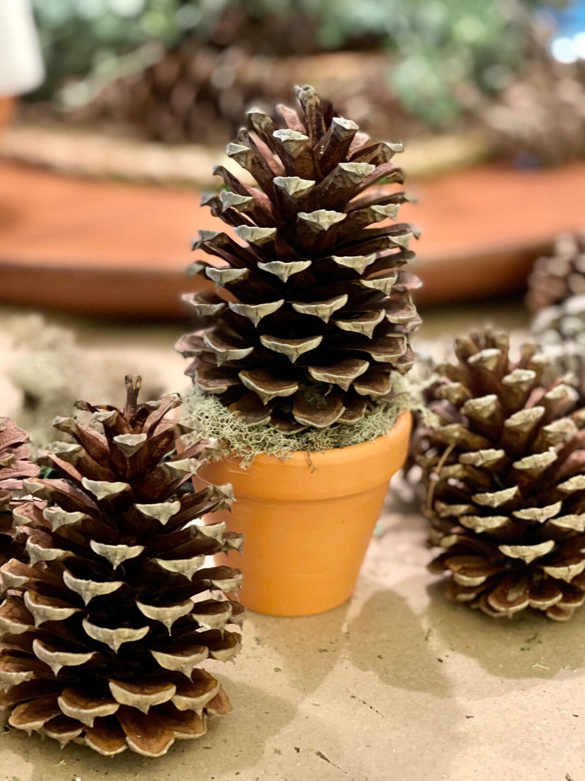 Need An Easy DIY Pinecone Christmas Tree? - Feet Under My Table