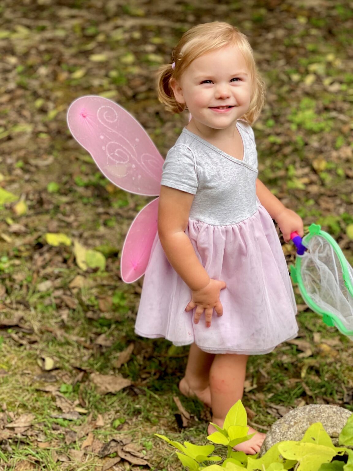 HOW TO CREATE A MAGICAL FAIRY GARDEN TEA PARTY - Feet Under My Table