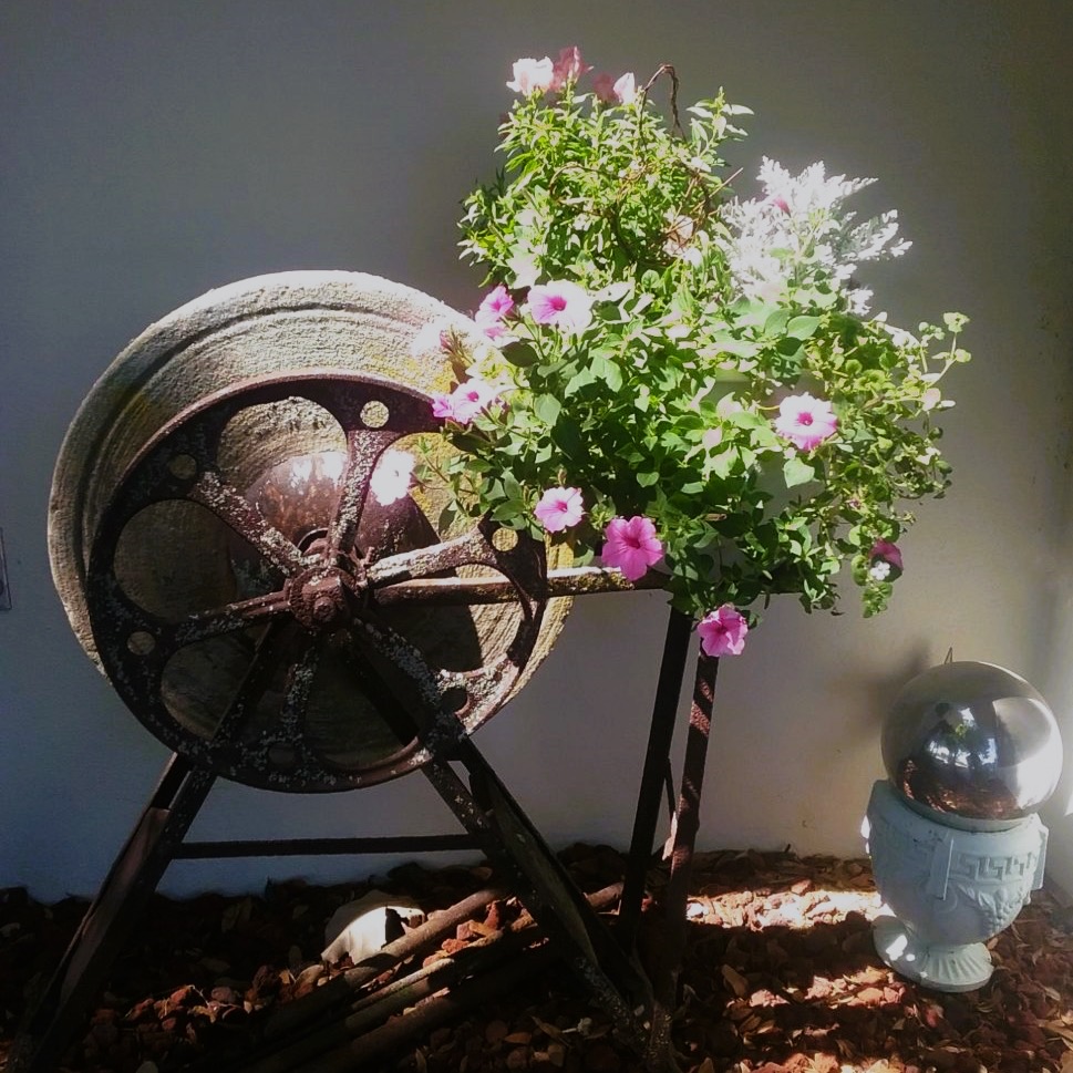 Pink Plant with antiques