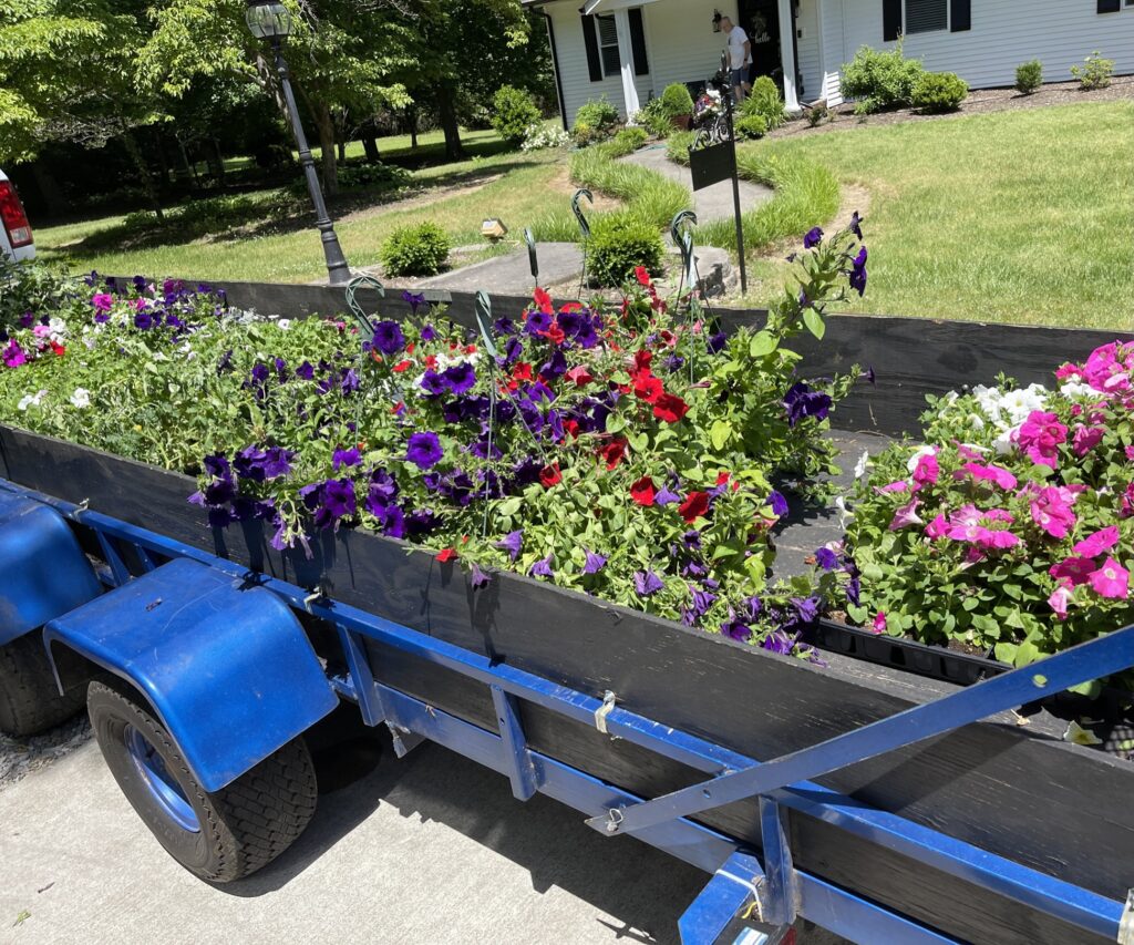 trailer filled with annuals and perennials