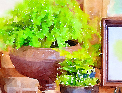 Watercolor of planters with ferns