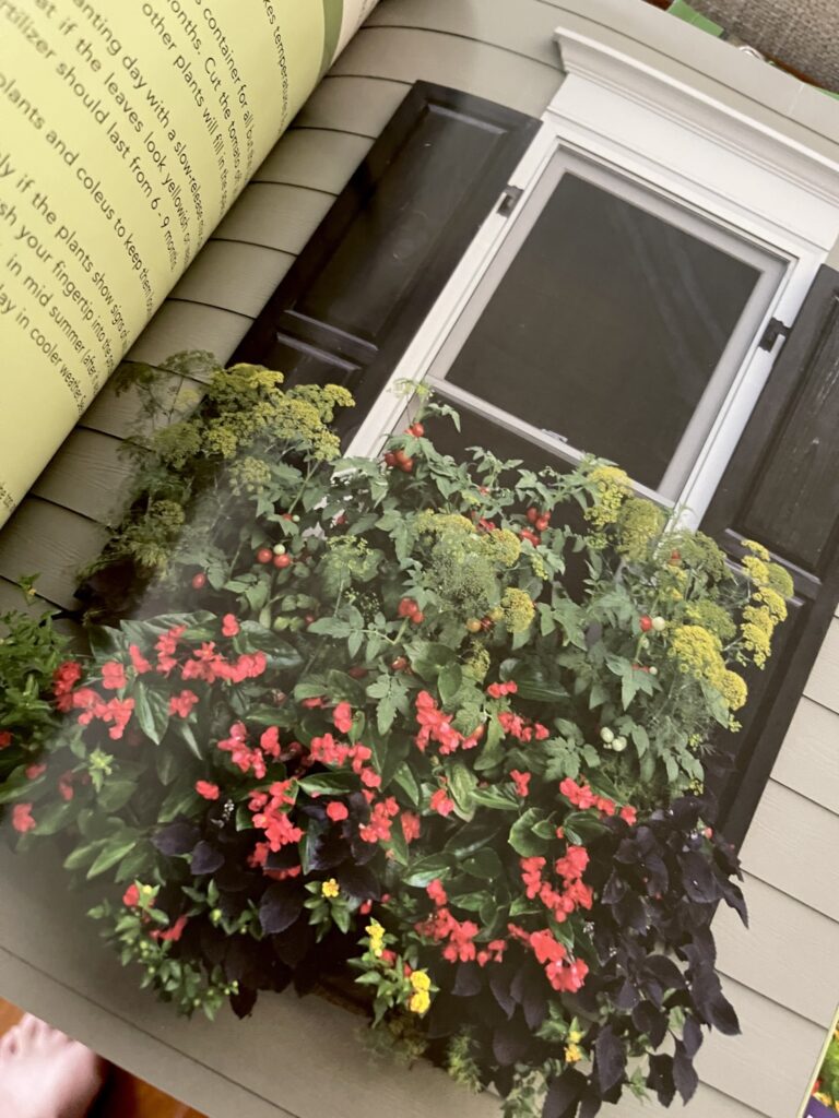 page from Pamela Crawford Container garden book with window box