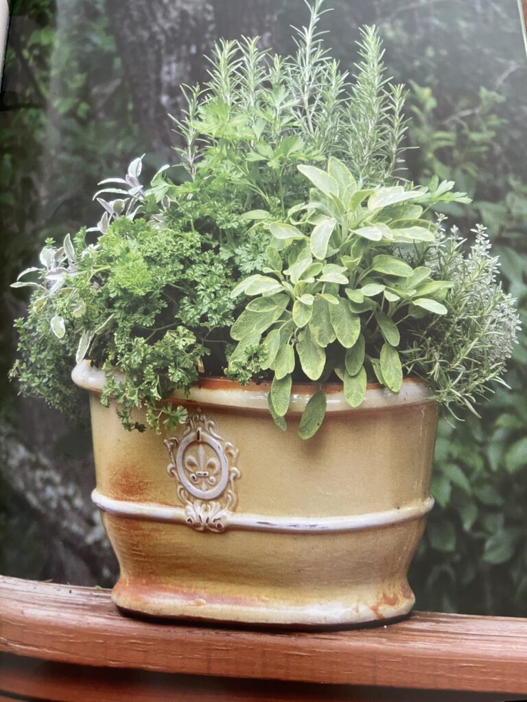 yellow planter with herbs