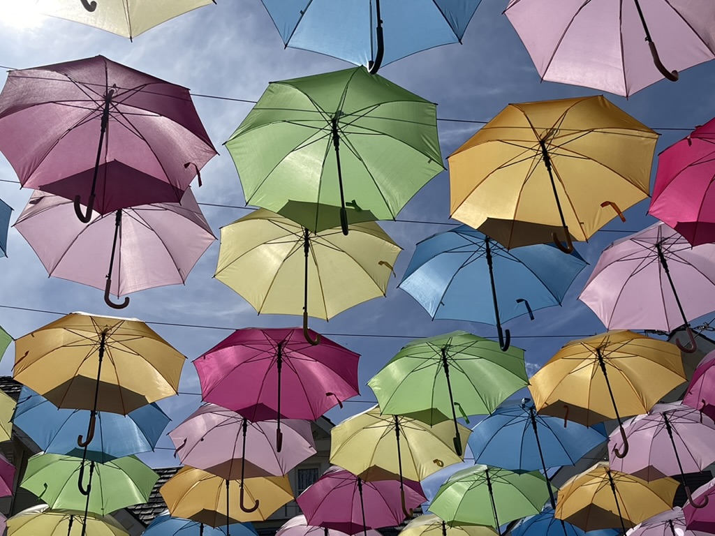umbrellas strung overhead