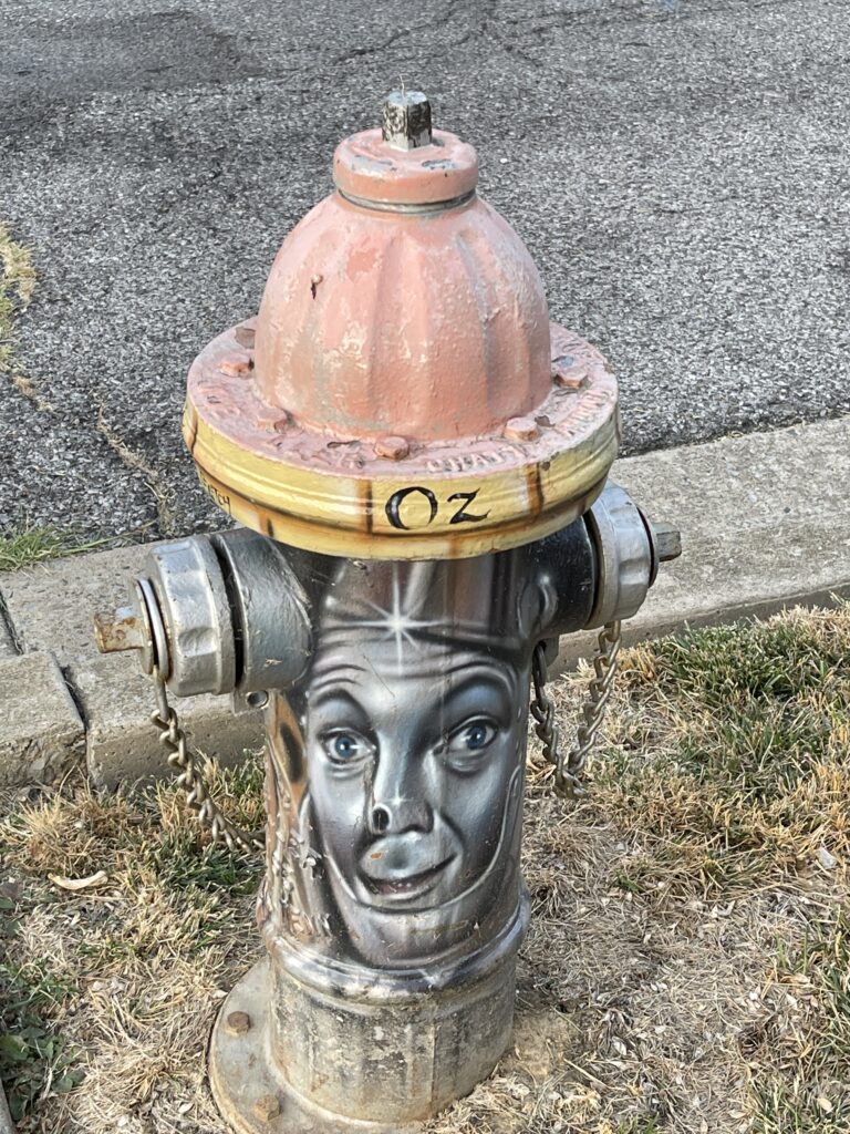 painted oz fire hydrant