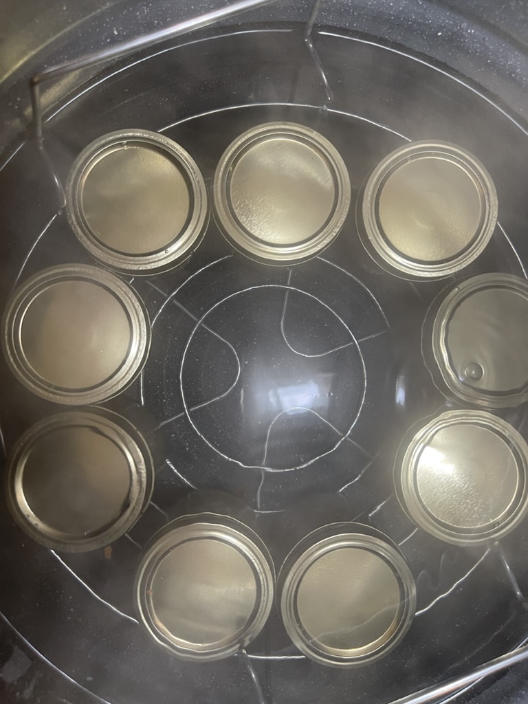 overhead view of jars in water bath canner
