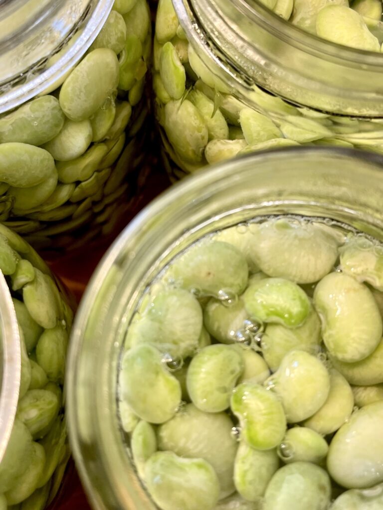 overhead view of lima beans in jars ready for canning