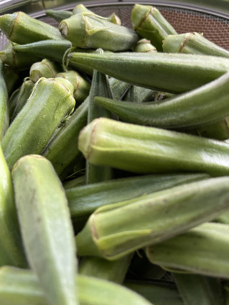 okra for pickling