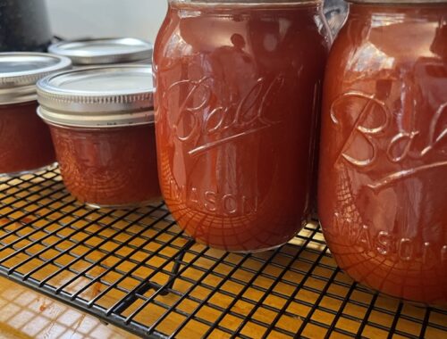 Ketchup in pint and half pint jars