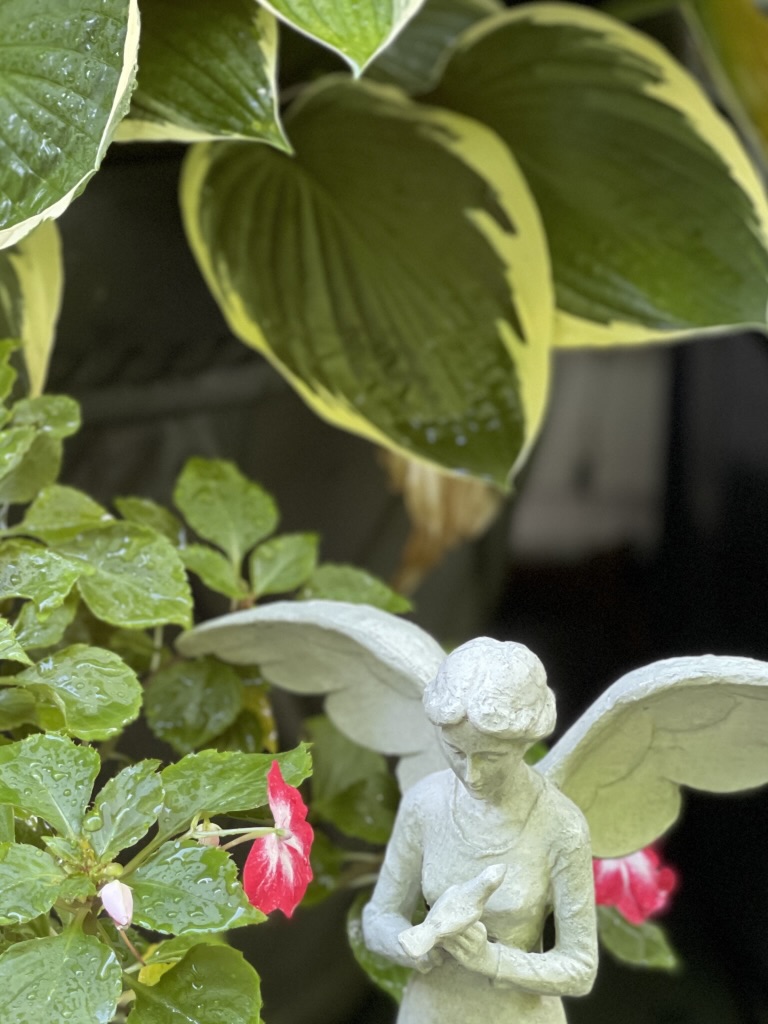 angel with impatiens and hosta