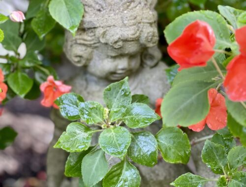 girl statue with red impatiens