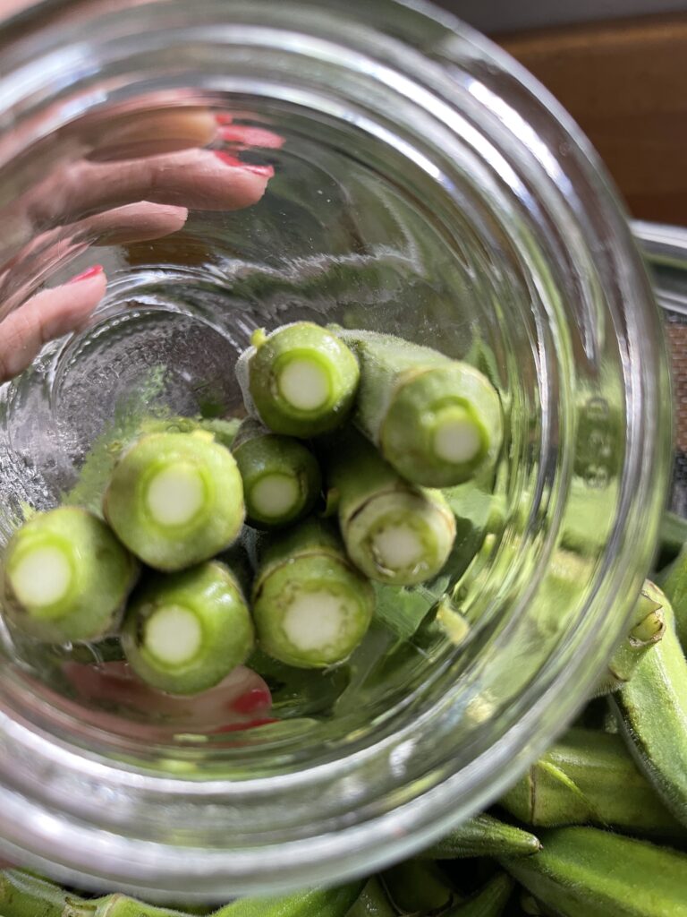 loading okra in jars for canning pickled okra