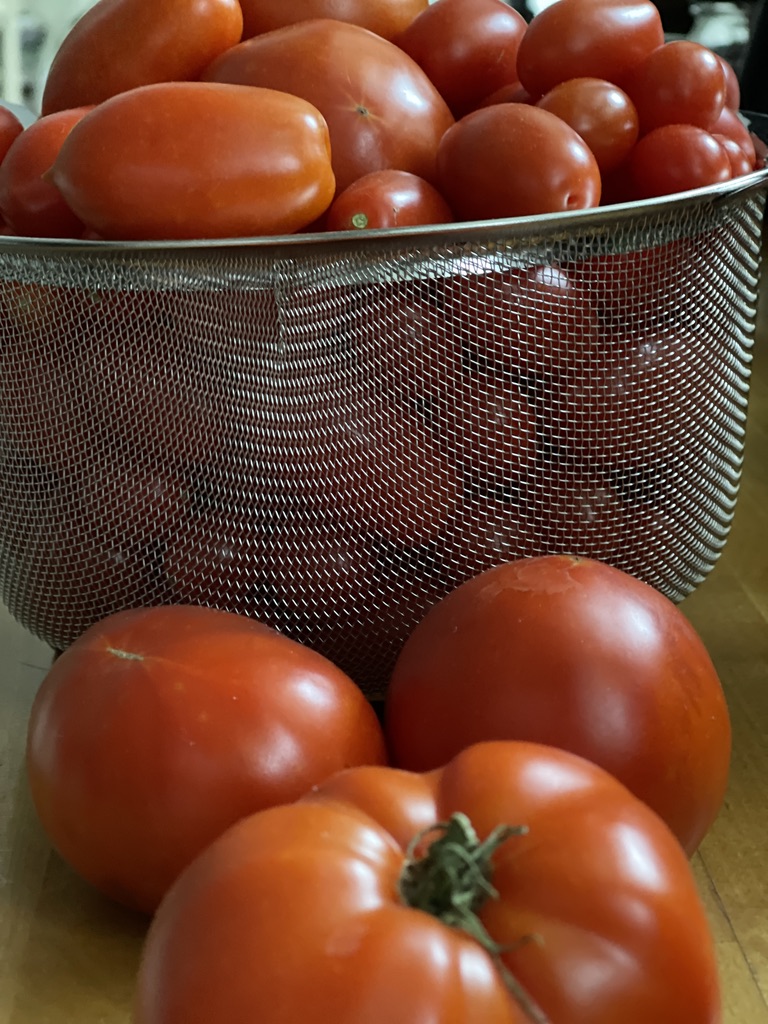 tomatoes in a strainer