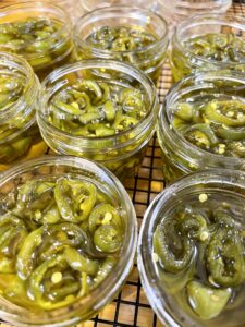 candied jalapenos before lids added to jars