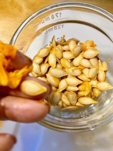 cleaning butternut squash seeds