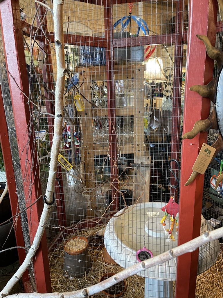 Andrews Seed bird cage