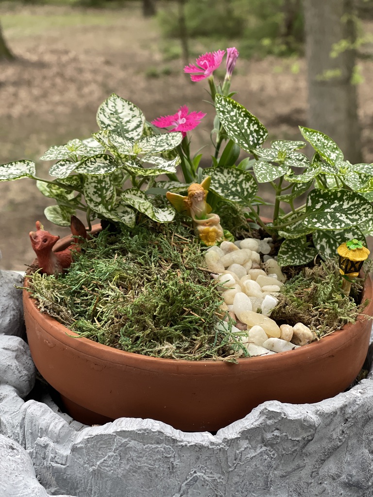 fairy garden pot