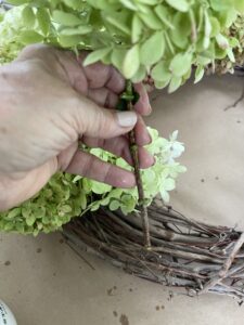 removing the stems from hydrangea before making fall hydrangea wreath