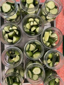 cucumbers in jars