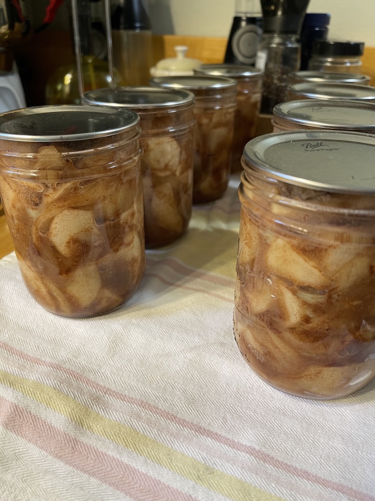 Fried apples in jars with rings removed