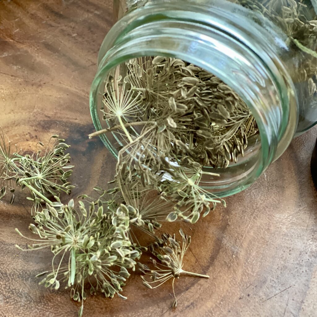 dried dill for pickles