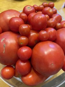 Tomatoes for tomato jam