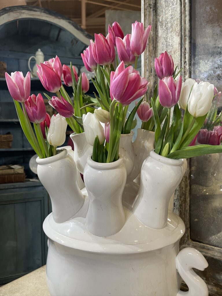 tulip planter with pink tulips