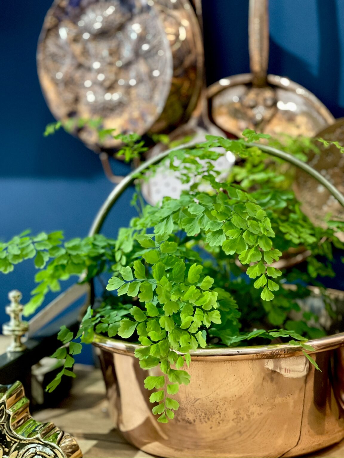 Beautiful 2024 Nashville Antiques & Garden Show Feet Under My Table