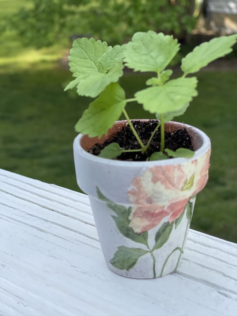 close up of decoupage herb garden pot