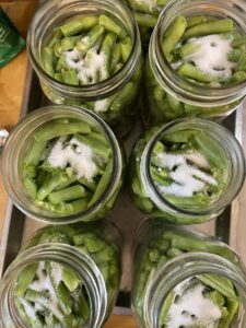 adding salt to green beans for pressure canning