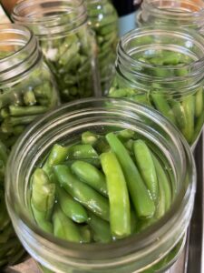 add boiling water to packed green beans in jars for pressure canning