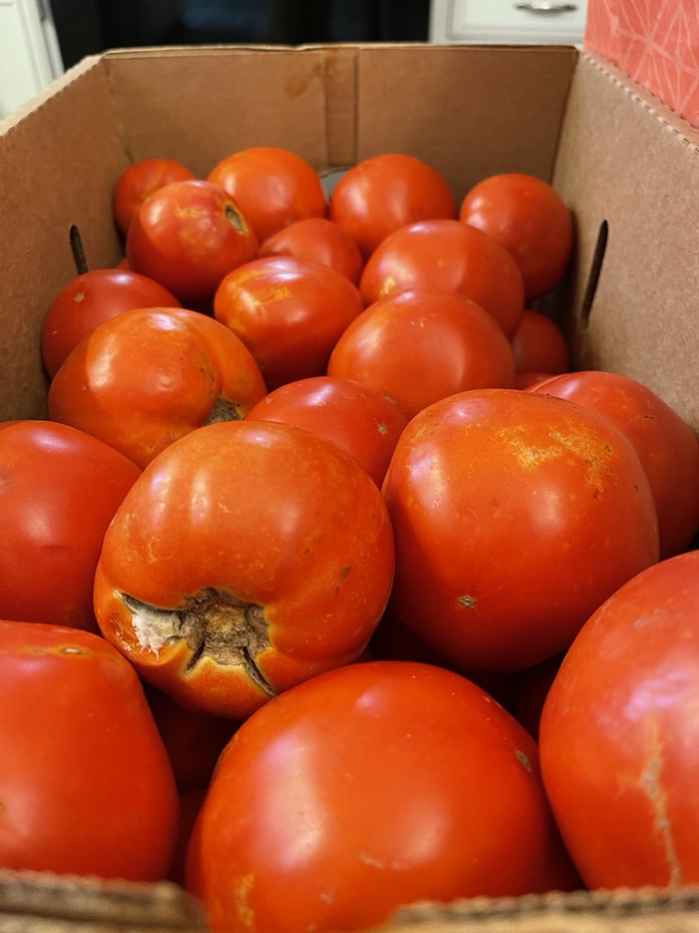canning tomatoes in a box