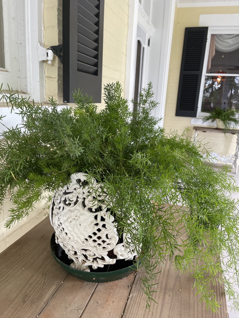 planter on the porch of Adsmore