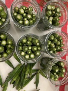 packing okra in jars for pickled okra