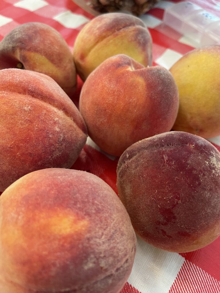 ripe homegrown peaches for peach jam