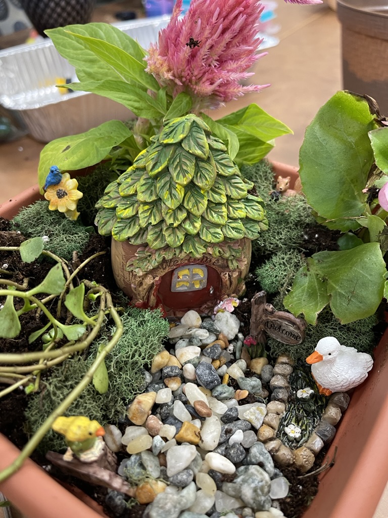 2024 Fairy Garden 