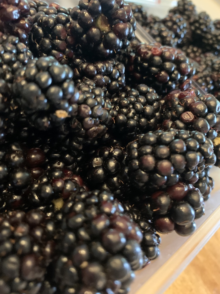 fresh blackberries for blackberry jam