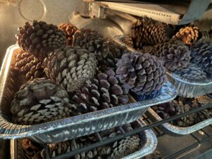 pans of pinecones added to the oven