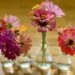 zinnias in glass connected vase