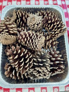 aluminum pan filled with pine cones