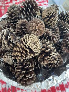 bowl of sterilized pine cones