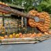 pumpkin guitar at Dollywood 2024