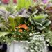 fall arrangement with lettuces and orange mums