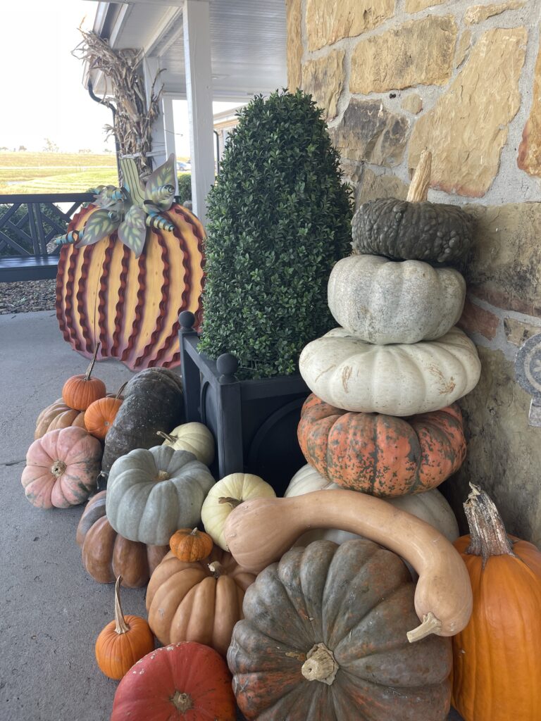 outdoor pumpkins