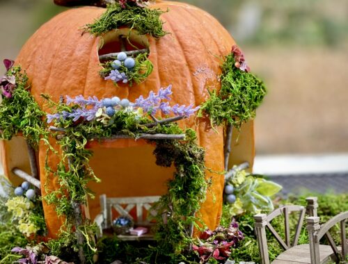 feature photo of Pumpkin Fairy House 2024