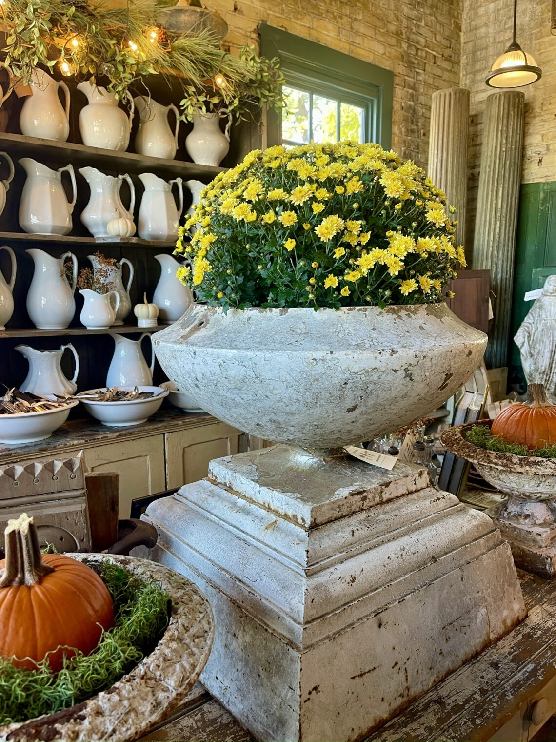 Frenchtown Station 2024 interior with mum in pot