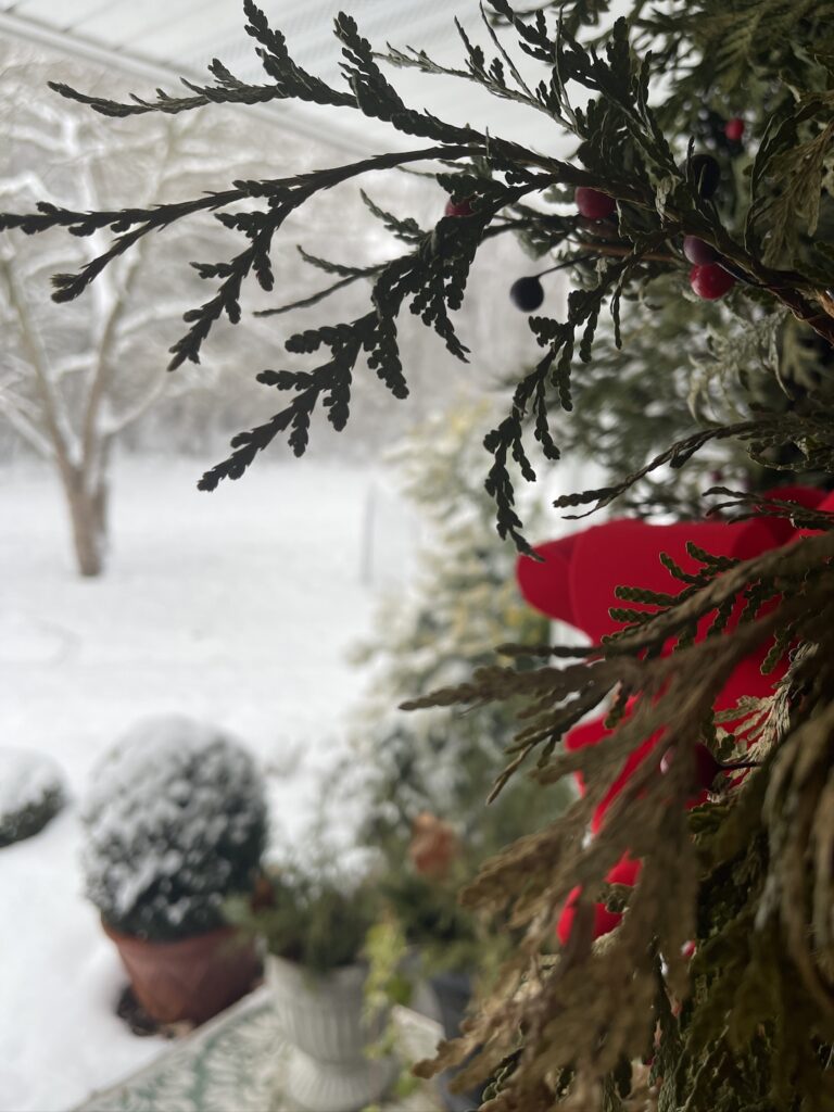 snow scene from the front door