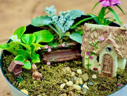 FEATURE FOR FAIRY GARDEN EXTENSION EVENT 2025