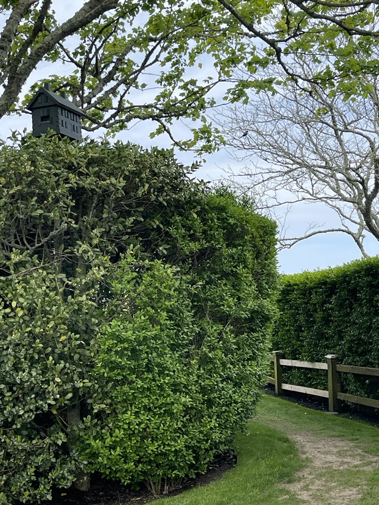 a path in Edgartown Martha's Vineyard